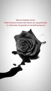 We did not find results for: Quotes Kata Kata Kutipan Mawar Mawar Hitam Kehidupan Mawar Mawar Hitam Mawar Merah