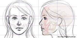 However, it's not that simple. Profile Vs Straight Forward Where Does It Align Drawing Tutorial Drawings Art Drawings