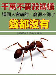 佛言佛語我看到很多跑的 螞蟻 嗯 小的動物 你殺掉很多 對 而且用水燙 水衝 麻煩了 所以你現在是 痞客邦