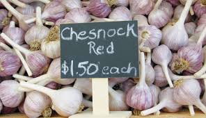 This plan allows you to start small (with only 600 square metres of ground) and grow your business as much as you choose. Peninsula Garlic Farm Edible Grande Traverse