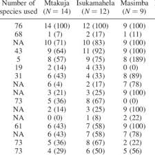 Image result for Grewia conocarpoides