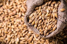 Orzo Proprieta Benefici E Le Migliori Ricette In Cucina Melarossa