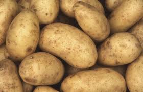 How To Store Seed Potatoes Hunker In 2020 Cooking Baked Potatoes Potatoes Food