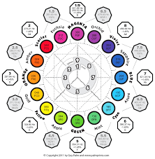 64 Always Up To Date Chi Color Chart Wheel