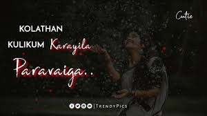 The latest tweets from sharechat (@sharechatapp). Idhu Podhum Enaku Verenna Venum Tamil Whatsapp Status Cover Song Trendy Pics Youtube