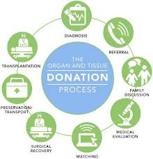 Image result for Tissue Donation
