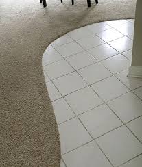 The Ronblog February 2010 Carpet To Tile Transition Flooring Transition Flooring
