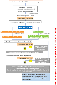 Image result for Loop Diuretic