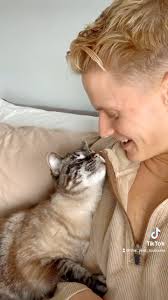 Toulouse 🐯 Cat (@the_real_toulouse) • Instagram photos and videos