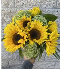 Maybe you would like to learn more about one of these? Carlsbad Florist Carlsbad Flower Delivery San Diego Wholesale Florist Floral Trade Center