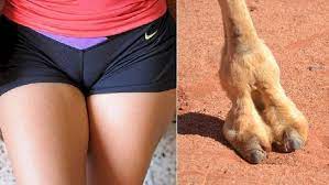 This camel toe underwear trend is confusing. Camel Toe Panties For Sale This Is A Thing Now