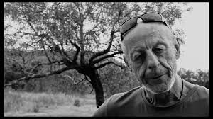 THEDA: Behind The Scenes