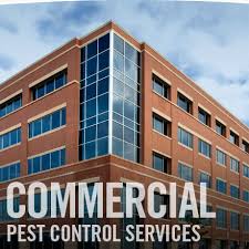 When you're looking to hire a pest control service (aka exterminator), you can expect to pay anywhere from $110 to $290 per treatment. Pest Control Near Me Dirks Pest Management Dirks Pest Control