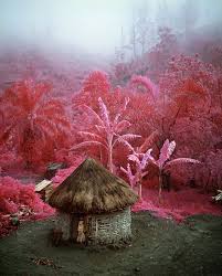It S All Around The World Just La La La In My Room The World Is Beyond My Understanding But Does It Float Just Bought Some Sweet Aerochrome Eir Film Richard Mosse Infrared Photography Photography