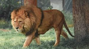 ++(bruce lee)++ lebih mudah mengajari seseorang menjadi terlatih, tetapi sulit mengajari untuk mengubah perilakunya. 25 Kata Kata Sindiran Buat Orang Sok Bijak Dan Sok Benar 2021 Poskata