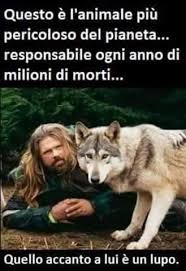 Timeline Photos Un Atto D Amore Catania In 2020 Animals Beautiful Animals Friends Animals