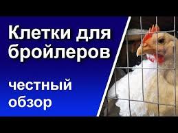 как сделать комбикорм для бройлеров в домашних условиях видео Kletki Dlya Brojlerov Svoimi Rukami Youtube Pticevodstvo Razvedenie Kur Kuryatnik