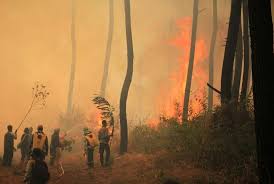 Telaga nilem yang tidak kalah eksotik ini memiliki air yang sangat. Luas Lahan Terbakar Di Gunung Ciremai 75 Hektare Republika Online