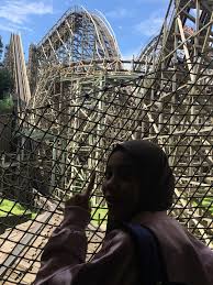 The rollercoaster is the same. Sheril Ameera Blogspot Everland Seoul Korea