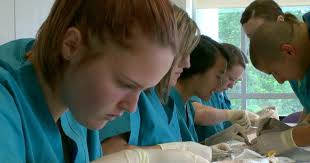 Kampet verore, mjet edukimi profesional