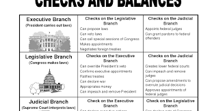 Economics 101 Checks Balances Project