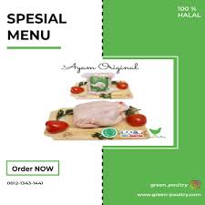 Masukkan ayam goreng ke dalam microwave,. Ayam Herbal Probiotik Posts Facebook