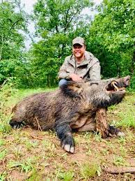 Hogs have adapted to being hunted, and don't come out during the day very often. Wild Hog Hunts Hunt Mill Hollow Ranch