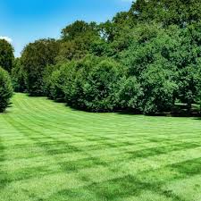 It helps to have an idea of what you expect from the company before you talk to a representative. Attleboro Farms Total Lawn Landscape Attleboro Ma