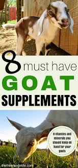 8 Must Have Nutritional Supplements For Goats For The Healthiest Herd Raising Goats Goats Feeding Goats