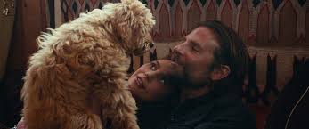 4k/uhd a green circle with a white checkmark in the center. Warnerbros Com A Star Is Born 2018 Movies