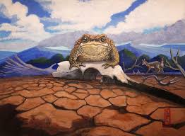 Image result for Maerua andradae