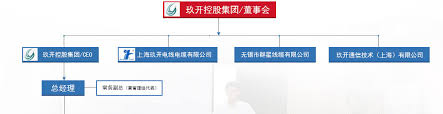 Organization Chart About Jiukai Shanghai Jiukai Wire