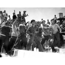 Wild Boys of the Road