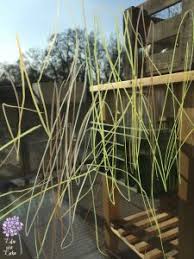 Auf den bereits getrockneten stücken kann man die rundhölzer dann gut lagern, ohne daß sie festkleben. Malen Mit Kleinkindern Meine Tipps Und Ideen Lila Wie Liebe