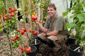 This winter, the project accepted applications from interested food pantries and community partners. In Missouri Growing Vegetables Means Tackling Poverty Lifegate
