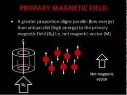 Introduction To Mri Physics Radiology Imaging Mri Registry Review Physics