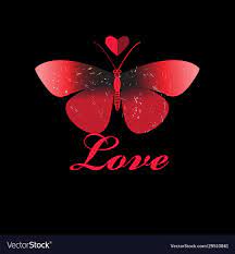 Red butterfly in love with a heart Royalty Free Vector Image