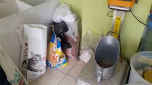 Yavru Guvercin Beslemede Borulu Pompa Yemi Nasil Hazilanir Youtube
