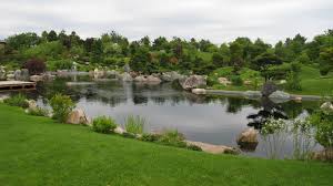 The leaves of this grass are. Japanese Garden Tips And Secrets From Master Landscaper Shiro Nakane Architectural Digest