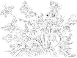 Dibujos De Mariposas Para Colorear