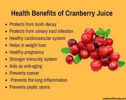 Go and grab this healthy fruit today. 10 Marvelous Health Benefits Of Cranberry Juice My Health Only