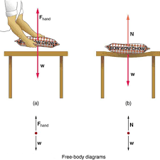 Normal Tension And Other Examples Of Forces Physics