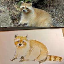 Happy Friday And Check Out This Cinnamon Raccoon Or Golden Trash Panda Have You Ever Seen A Blonde Raccoon Animal Illustration Rare Animals Raccoon Art