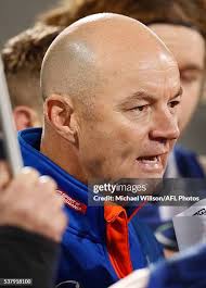 500 Kangaroos Darren Crocker Stock Photos, High-Res Pictures, and Images