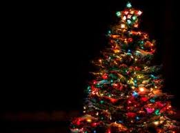 Winter holidays including christmas, kwanzaa, new year's eve, hanukkah and more. Seasonal Fun Facts Familyeducation