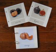 Merci Qui Merci Montessori Cartes De Nomenclature Fruits Et Legumes D Automne Materiel Educatif Montessori Montessori Fruits D Automne