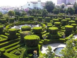 Topiary Wikipedia Dutch Gardens Parterre Garden Topiary Garden