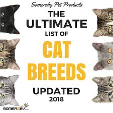 ultimate list of cat breeds