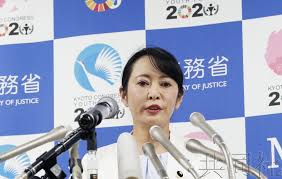 戈恩这个记者会 要把日本人气死了 组图 国际观察 倍可亲 hair straightener online collections online