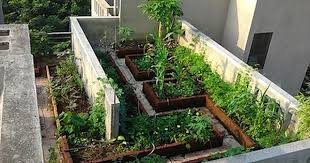 Fertiliser Schedule For Garden Plants In India Download The Pdf Files In The Link According To Pla Garden Ideas India Rooftop Garden Terraced Vegetable Garden